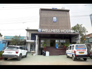 wellness hospital 1 (1)